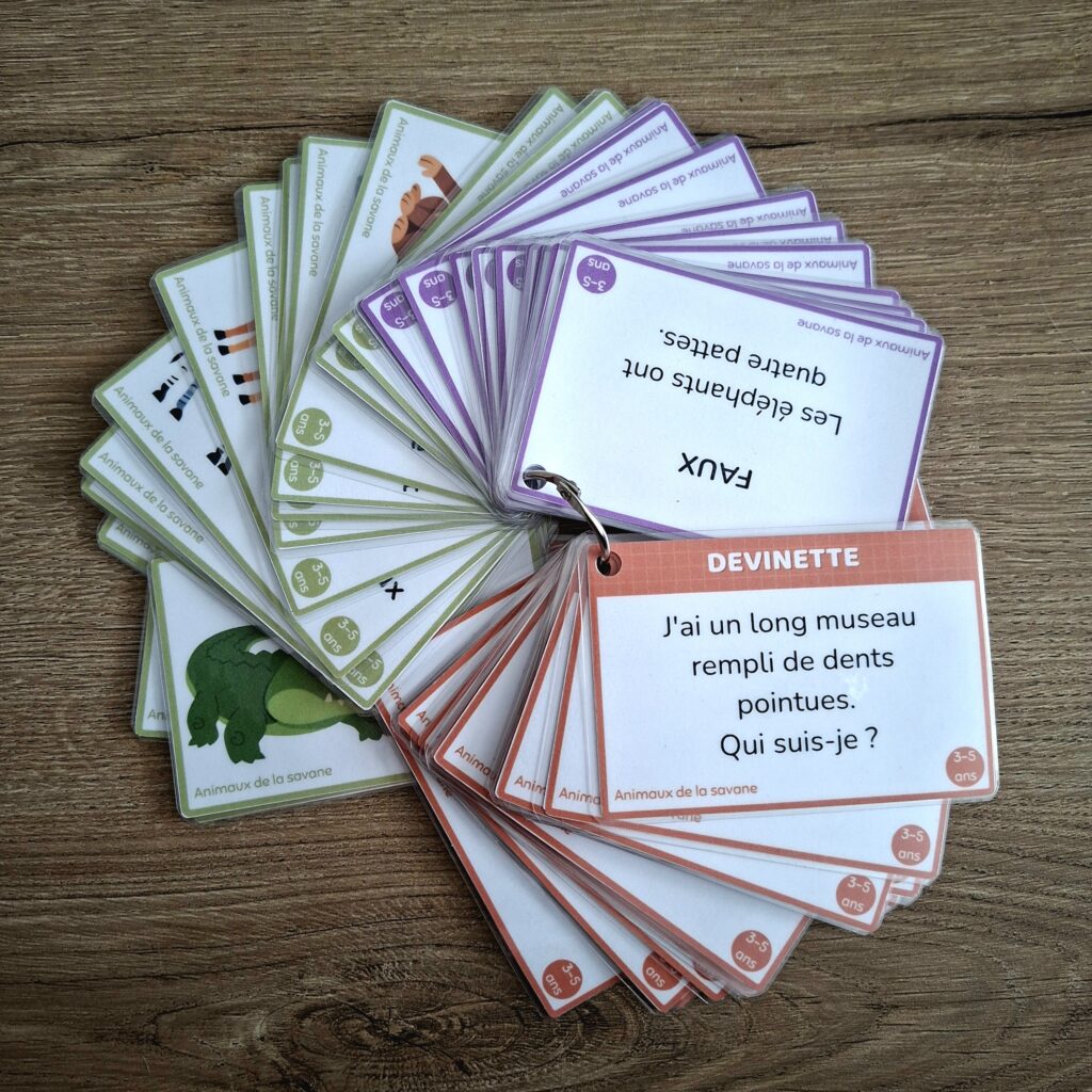 Cartes éducatives 20260625 145433