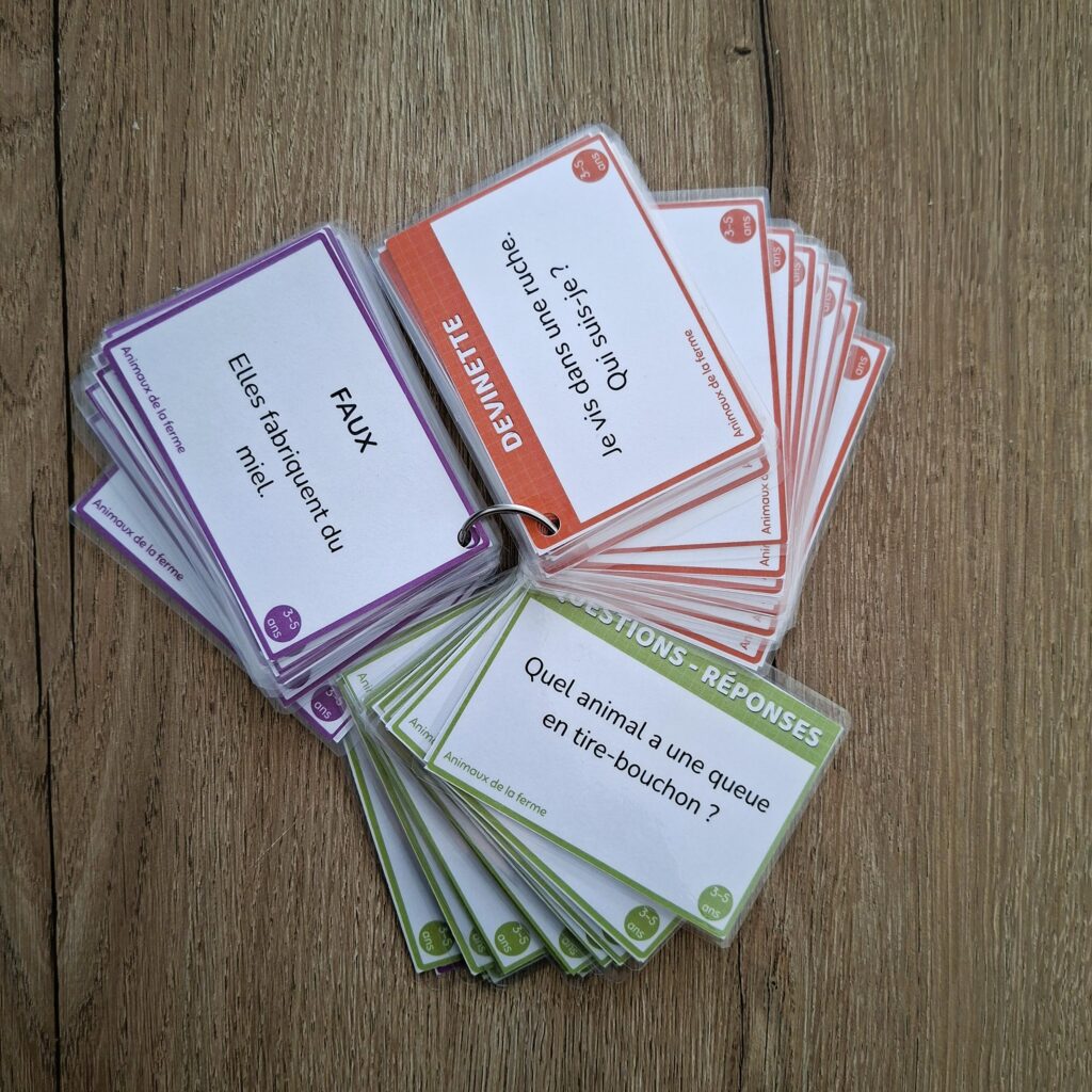Cartes éducatives il fullxfull.8154756106 am3g